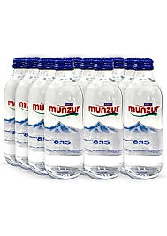 Munzur su cam 12 x 330 ml